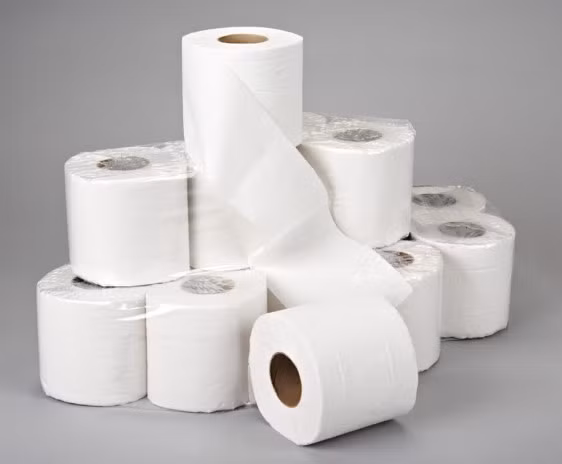 Dùng giấy vệ sinh không an toàn có thể dẫn đến viêm da dị ứng, các bệnh về đường hô hấp, bệnh phụ khoa,...(Nguồn Bathfitterhiltonhead) 