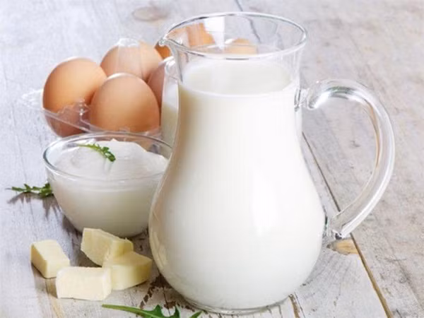 Các thực phẩm giàu vitamin E bạn có thể bổ sung trong các bữa ăn hàng ngày gồm sữa, trứng gà, thịt nạc, hạt lanh…(Nguồn Eatright)