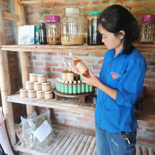 Sản phẩm từ vườn rừng như mật ong, các cây rừng và các loại cây dược liệu, trái cây, nguyên liệu liệu chế biến thức ăn chăn nuôi…được bán ra thị trường trong và ngoài tỉnh.
