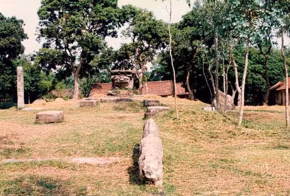 Mặt sư tử dũng mãnh, mũi to căng tròn. Toàn thân sư tử được điêu khắc hoa cúc dây, hoa văn xoắn ốc dày đặc, tỉ mỉ, không một diện tích nhỏ nào là không có chạm khắc hoa văn.