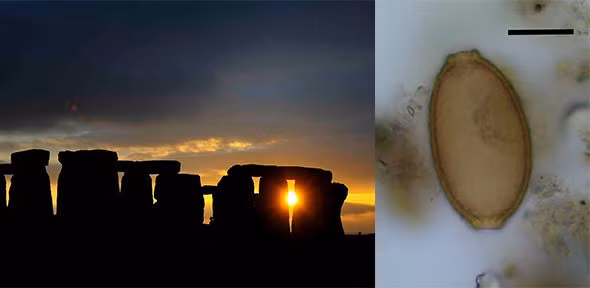 Stonehenge là công trình tượng đài cự thạch thời kỳ đồ đá mới và thời kỳ đồ đồng gần Amesbury thuộc hạt Wiltshire, Anh.