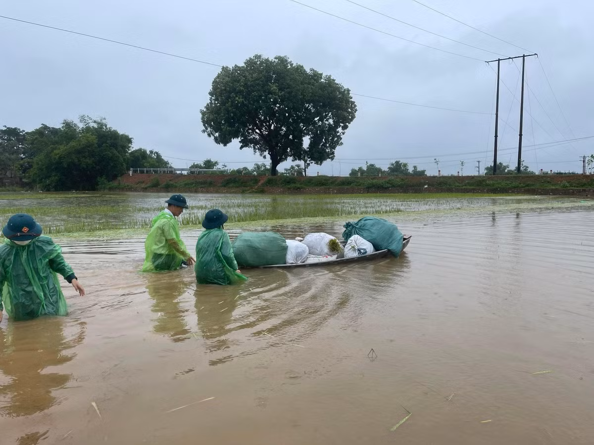 Thống kê sơ bộ, diện tích bị ngập úng khoảng 160 ha.