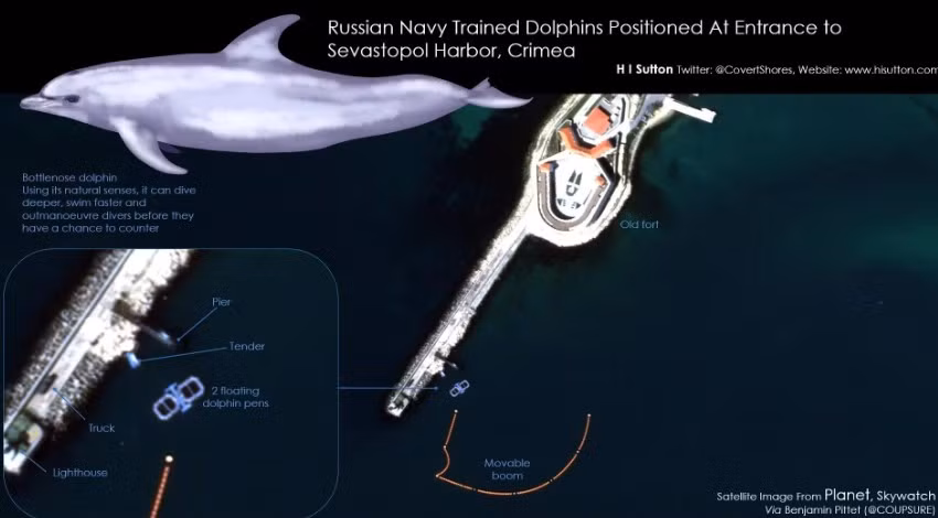 Sevastopol là căn cứ hải quân quan trọng nhất của Nga tại Biển Đen. Bên trong cảng, nhiều chiến hạm giá trị cao của hải quân Nga neo đậu ngoài tầm bắn của tên lửa Ukraine. Tuy nhiên, số chiến hạm này có thể dễ bị biệt kích phá hoại từ bên dưới mặt biển.