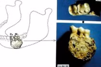 Hóa thạch người Vũ Sơn thời tiền sử có thể viết lại lịch sử