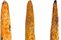 Vũ khí tinh xảo 80.000 năm tuổi của người Neanderthal