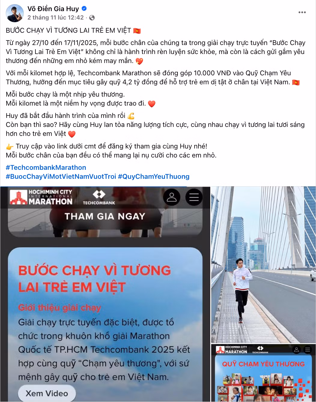 vo-dien-gia-huy.png