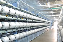 STK báo lỗ ròng trong quý 1 do sản lượng yếu và áp lực chi phí từ Unitex
