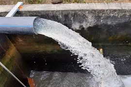Trách nhiệm người đứng đầu và bài toán hiệu quả kinh tế trong đấu thầu ngành nước [Kỳ 3]
