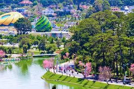 Cạnh tranh mờ nhạt tại các gói thầu trường học của Ban QLDA ĐTXD khu vực Đà Lạt: Lý do từ đâu? [Kỳ 2]