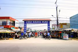 Công ty Thái Hưng Thịnh trúng hàng loạt gói chỉ định thầu tại TP Cần Thơ [Kỳ 1]