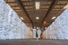 Quản trị minh bạch: Nền tảng bền vững trong hành trình ESG của PVFCCo-Phú Mỹ