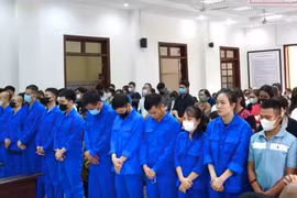 Đồng Nai: Xét xử 87 bị cáo lừa đảo bất động sản bằng chiêu "chim mồi"