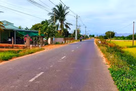 Ảnh minh hoạ