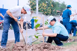 TPHCM: Xã Tân Vĩnh Lộc trồng 1.500 cây xanh và ra mắt Không gian văn hóa