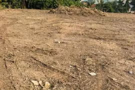 Công ty Tân Thành bị thu hồi hơn 145 ha đất theo bản án phúc thẩm