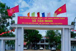 Xã Tân Minh, Lâm Đồng: Lộ diện mạng lưới công ty tư vấn trúng thầu 100% [Kỳ 3]