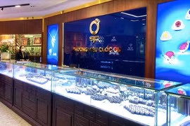 Bất chấp "sóng vàng", SJC báo lãi 6 tháng 2025 sụt mạnh