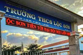  Bất thường hiệu quả kinh tế tại loạt gói thầu rộng rãi của nhà thầu Phú Lâm ở Lâm Đồng [Kỳ 2]