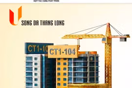 Sông Đà Thăng Long bị phạt 92,5 triệu do trì trệ công bố thông tin 4 năm liền