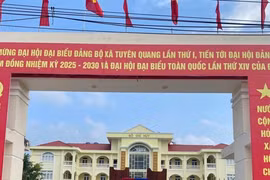 Trách nhiệm người đứng đầu khi Công ty Tâm Phát liên tiếp trúng thầu sát giá trần [Kỳ 2] 