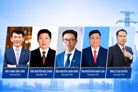 Nhiều chủ tịch, TGĐ doanh nghiệp ngành điện bị khởi tố trong một tháng