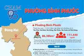 Đấu thầu tại Phường Bình Phước: Cần làm rõ trách nhiệm giải trình của người đứng đầu
