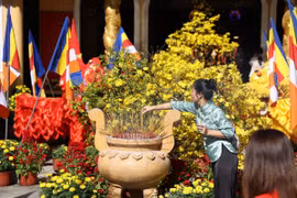 TP HCM: Người dân rạng rỡ đi lễ chùa cầu an sáng mùng 1 Tết Bính Ngọ
