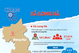 Đồng Nai: Làm gì để gỡ nút thắt minh bạch trong đấu thầu cấp cơ sở hiện nay [Kỳ 5] 