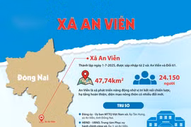 Hệ sinh thái đấu thầu tại xã An Viễn, TP Đồng Nai: Trách nhiệm giải trình của chủ đầu tư [Kỳ 3]