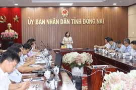 Đồng Nai đẩy nhanh rà soát, khai thác hiệu quả quỹ đất công