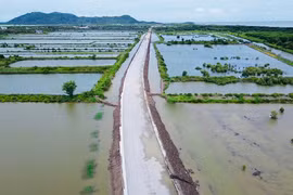 Chỉ định thầu, tiết kiệm thấp: Ai chịu trách nhiệm 'gác cổng' ngân sách tại địa phương? [Kỳ 2] 