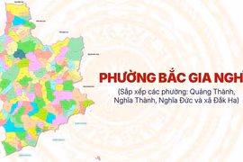 Đấu thầu tại phường Bắc Gia Nghĩa: Tỷ lệ tiết kiệm thấp [Kỳ 1] 