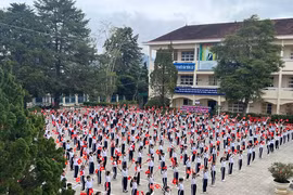 Đấu thầu tại trường TH Đa Thiện Đà Lạt: Lộ diện hai doanh nghiệp cạnh tranh 