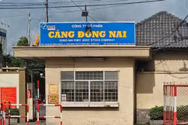 Đấu thầu tại Cảng Đồng Nai: Hé lộ hệ sinh thái nhà thầu