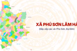 Đấu thầu tại Lâm Đồng: Dấu hỏi về công tác thẩm định của tư vấn Hoàng Đăng [Kỳ 3]