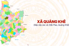 Công ty Rừng Thông Đắk Nông trúng loạt gói thầu chục tỷ đồng tại Lâm Đồng [Kỳ 1]