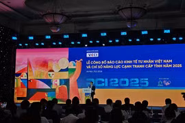 TP HCM dẫn đầu cả nước về chỉ số hiệu quả kinh tế tư nhân năm 2025