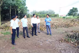 Phường Bình Phước bàn giao 82,5% mặt bằng cao tốc Gia Nghĩa - Chơn Thành