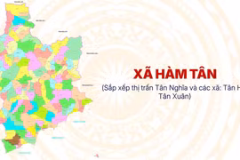 Hệ sinh thái Công ty Đông Triều: Trúng thầu tuyệt đối, trách nhiệm thẩm định ở đâu? [Kỳ 2]