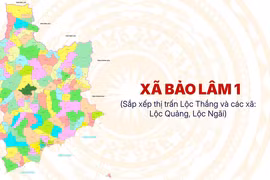 Xã Bảo Lâm 1, Lâm Đồng: Hàng loạt gói thầu xây lắp trúng sát giá, tiết kiệm thấp [Kỳ 1]