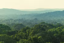 Chuyển hơn 4,38 ha rừng tự nhiên để làm mỏ đá vôi Hoàng Mai B