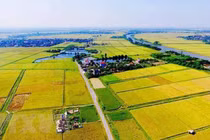Loạt chính sách về đất nông nghiệp, tiền lương có hiệu lực năm 2026