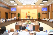 2 phương án tổ chức kỳ họp thứ 10, Quốc hội khoá XV
