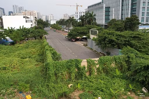 [VIDEO] TPHCM: Nhiều đại gia bất động sản nợ thuế hơn 11.200 tỷ đồng