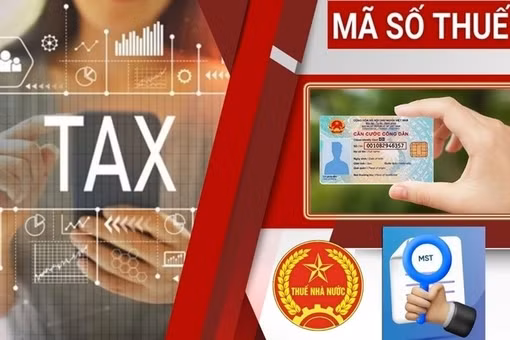 [VIDEO] Cục Thuế giảm thời gian xử lý mã số thuế còn 3 ngày