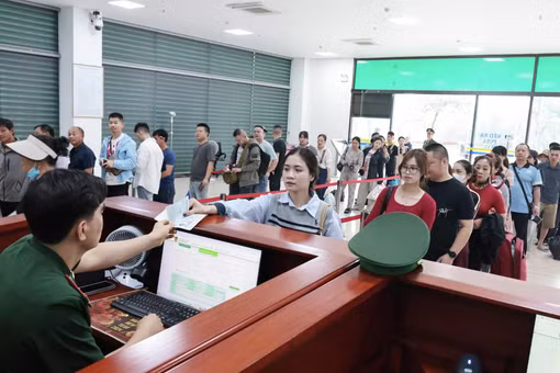 Hàng trăm nghìn mã số thuế bị treo: Cục Thuế truy quét doanh nghiệp ma