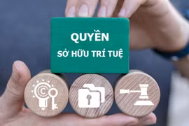 [VIDEO] Thủ tướng yêu cầu triệt phá website phim nhạc lậu