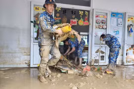 Hải quân điều động 2.335 lượt cán bộ chiến sĩ khắc phục hậu quả mưa lũ