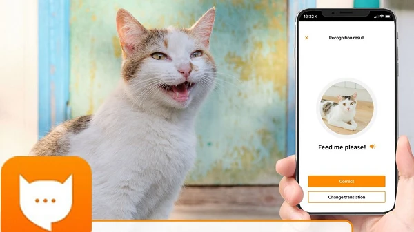 Ứng dụng kỳ lạ giúp bạn giao tiếp với các “boss” mèo