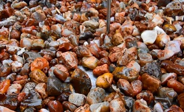 Nhặt sỏi về trang trí, chuyên gia hét lên: "Là kho báu!"